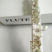 Professional High Quality Silver Flute - east2cart.uk