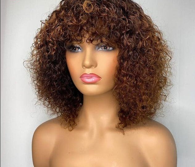 Jerry Curly Human Hair Wig - east2cart.uk