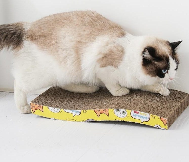 Cat Scratching Board