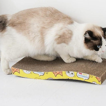 Cat Scratching Board