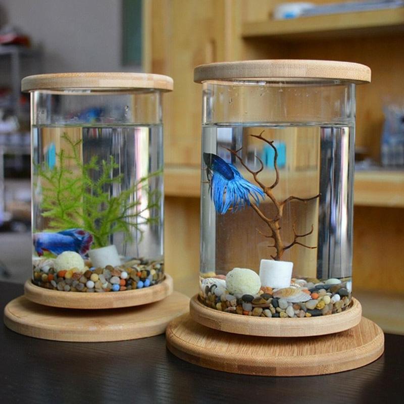 Bamboo Base Mini Fish Tank Decoration