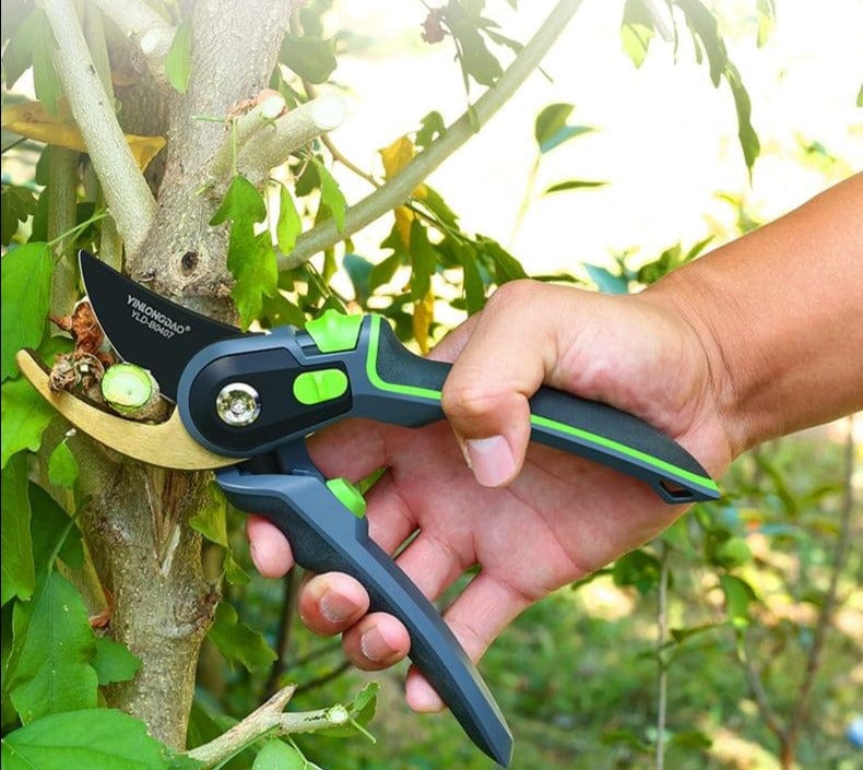 Pruning Scissors Grafting Tool