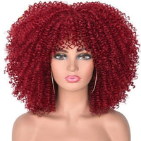 14"Short Afro Kinky Curly Wigs With Bangs - east2cart.uk