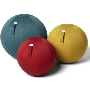 Workout Balls with Handle & Cover - east2cart.uk