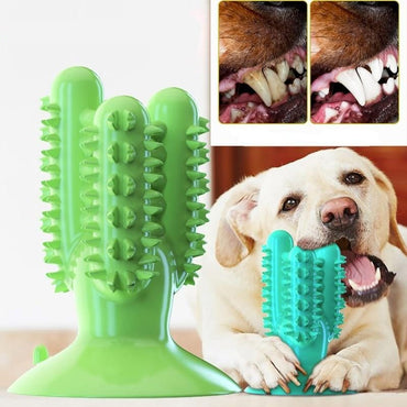 Toothbrush for Dogs - east2cart.uk