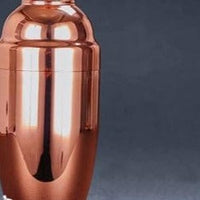 Stainless Steel Cocktail Shaker Set - east2cart.uk