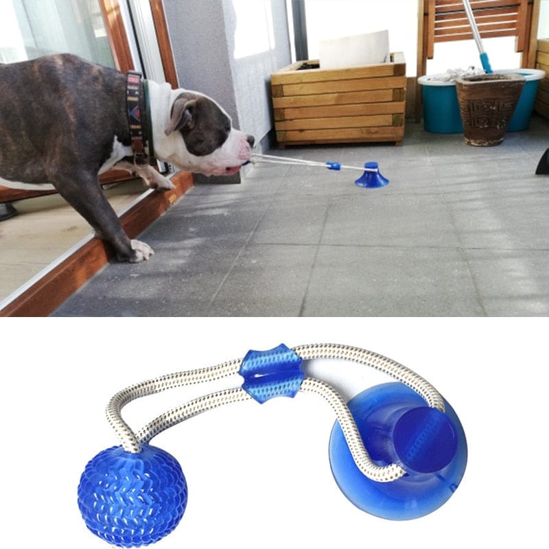 Dog Toys Interactive Suction Cup - east2cart.uk