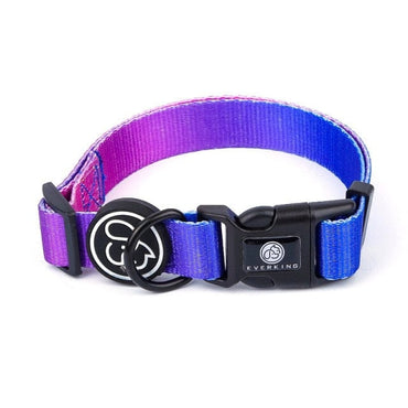 Designer Dog Collar Leash - east2cart.uk