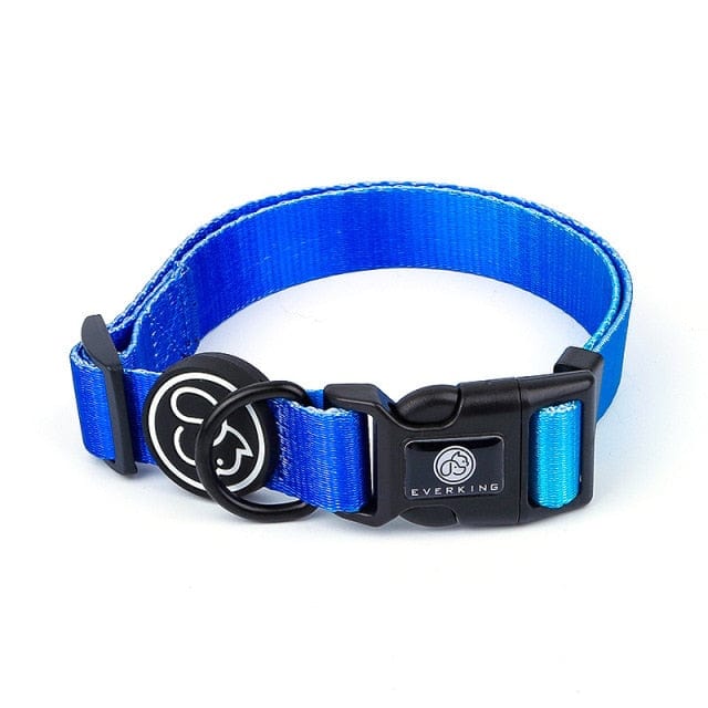 Designer Dog Collar Leash - east2cart.uk