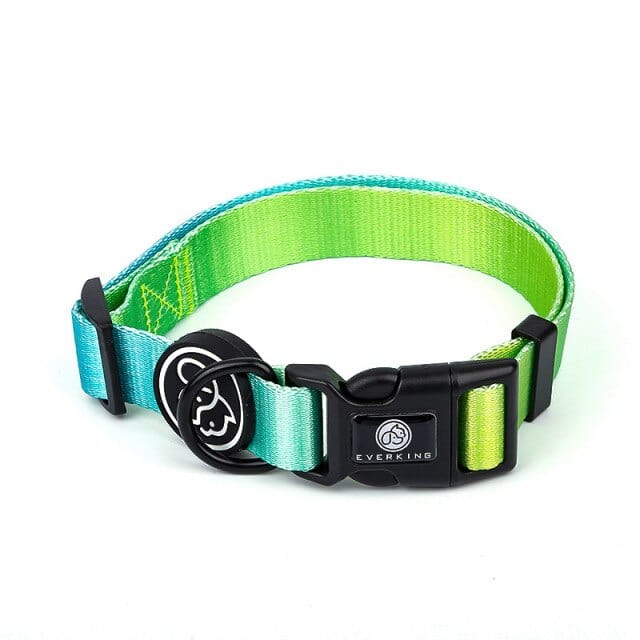 Designer Dog Collar Leash - east2cart.uk