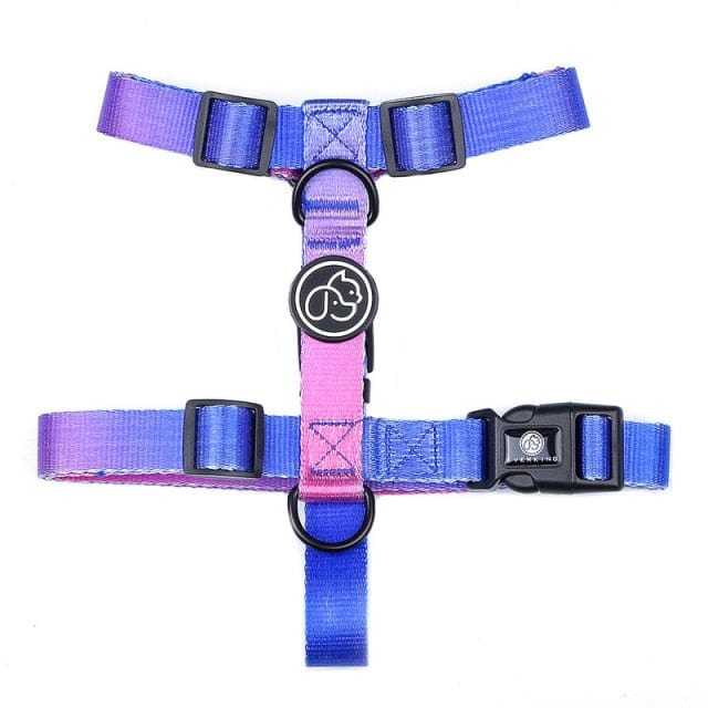 Designer Dog Collar Leash - east2cart.uk