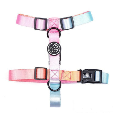 Designer Dog Collar Leash - east2cart.uk