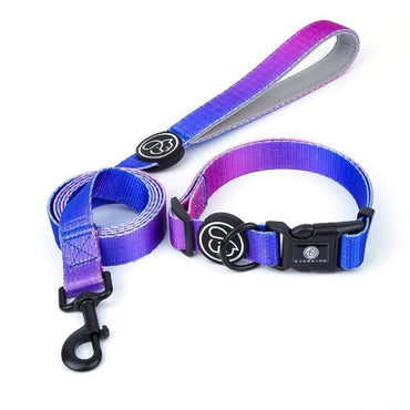 Designer Dog Collar Leash - east2cart.uk