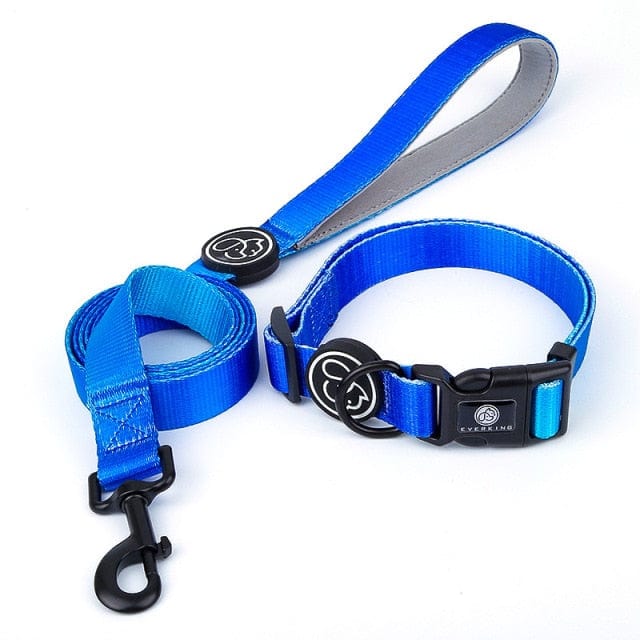 Designer Dog Collar Leash - east2cart.uk