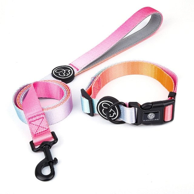 Designer Dog Collar Leash - east2cart.uk