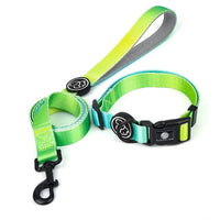 Designer Dog Collar Leash - east2cart.uk
