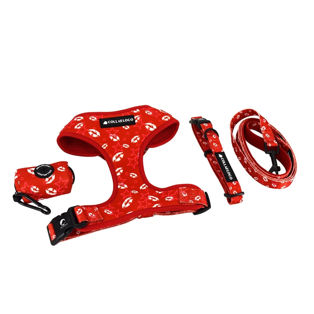 Adjustable Print Design Dog Harness - east2cart.uk