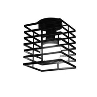 Modern Iron Ceiling Light