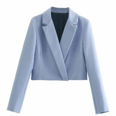 Stylish Ladies Mini Skirts Suit - east2cart.uk