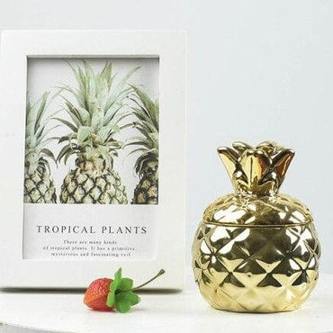 Ceramic Pineapple Container - east2cart.uk