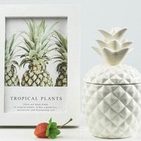 Ceramic Pineapple Container - east2cart.uk