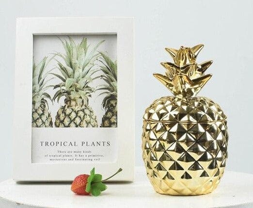 Ceramic Pineapple Container - east2cart.uk