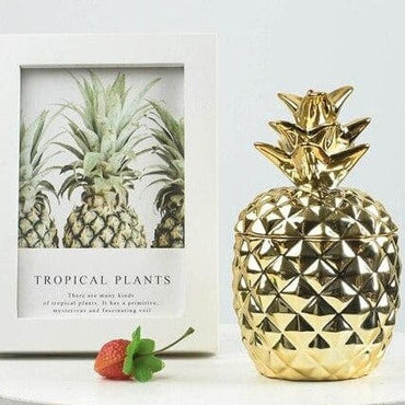 Ceramic Pineapple Container - east2cart.uk