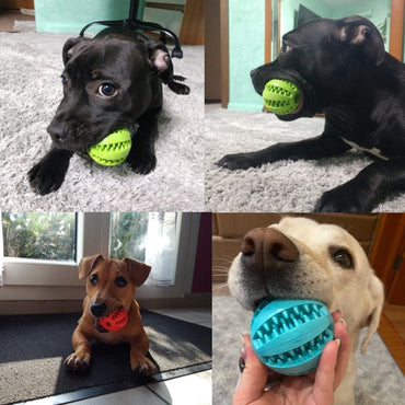 Rubber Balls Interactive Dog Toys - east2cart.uk