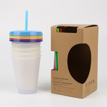 Reusable Plastic Tumbler With Straw - east2cart.uk