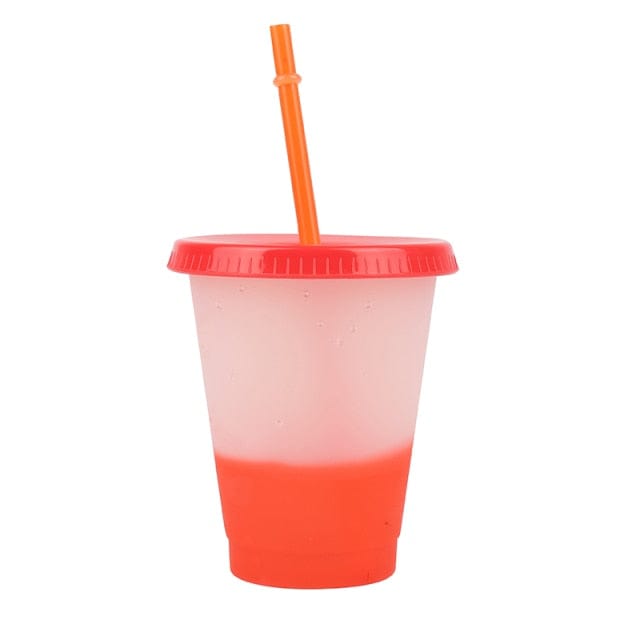 Reusable Plastic Tumbler With Straw - east2cart.uk