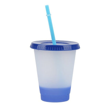 Reusable Plastic Tumbler With Straw - east2cart.uk