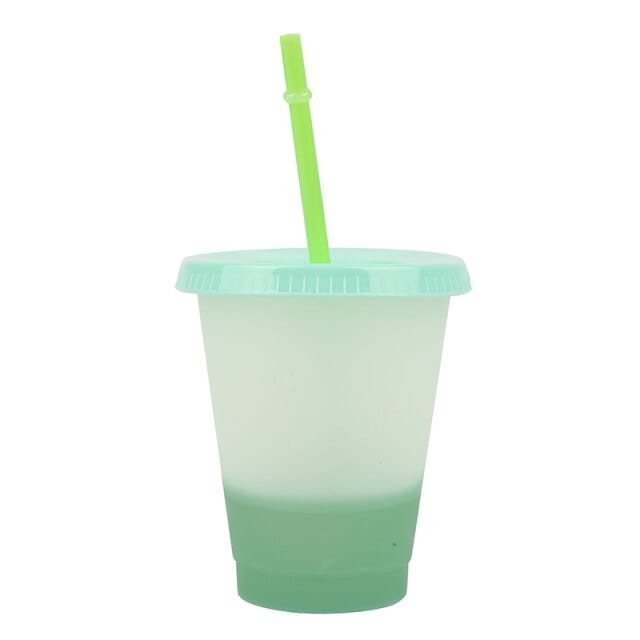 Reusable Plastic Tumbler With Straw - east2cart.uk