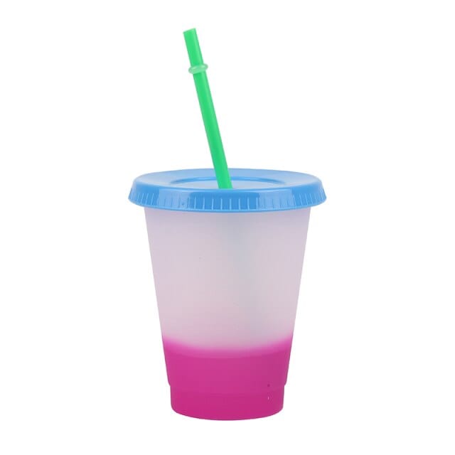 Reusable Plastic Tumbler With Straw - east2cart.uk