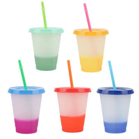 Reusable Plastic Tumbler With Straw - east2cart.uk