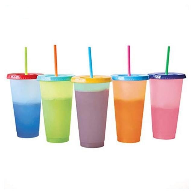 Reusable Plastic Tumbler With Straw - east2cart.uk