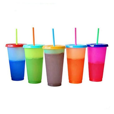 Reusable Plastic Tumbler With Straw - east2cart.uk