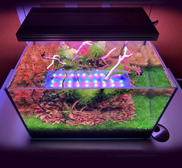 Fish Tank LED Lighting