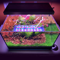 Fish Tank LED Lighting
