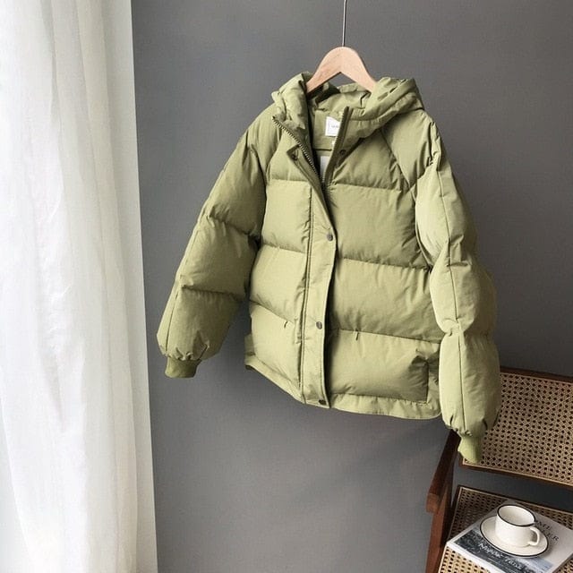 Winter Hooded Warm Down Parka