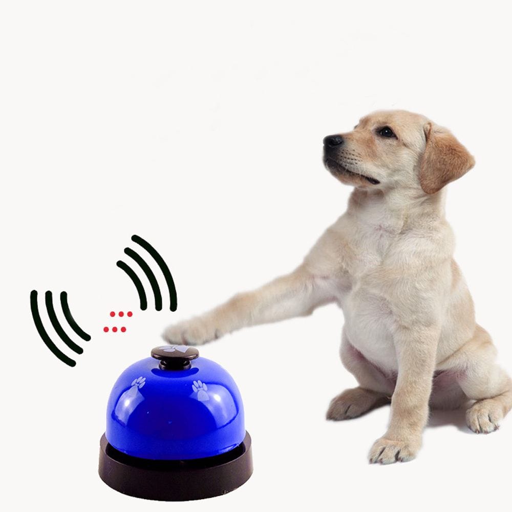 Creative Call Bell Toy for Dog - east2cart.uk