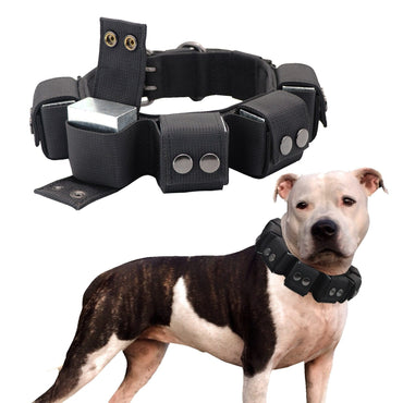 Weighted Pitbull Dog Collar - east2cart.uk