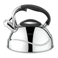 Stainless Steel Whistling Kettle