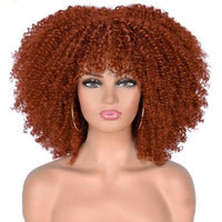 Short Hair Afro Kinky Curly Wigs With Bangs For Black Women African Synthetic Omber Glueless Cosplay Wigs High Temperature Lizzy - east2cart.uk
