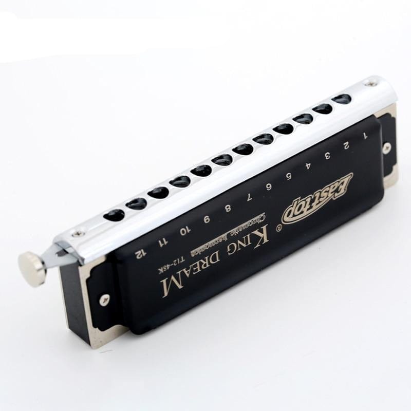 12holes professional harmonica - east2cart.uk