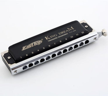 12holes professional harmonica - east2cart.uk