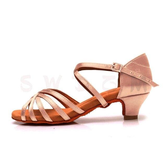 SWDZM Dance Shoes For Women Dancing Girls Ladies Modern Jazz Flamenco Dancing Shoes Dance-Shoe Silk Satin Salsa Practice Sandals - east2cart.uk