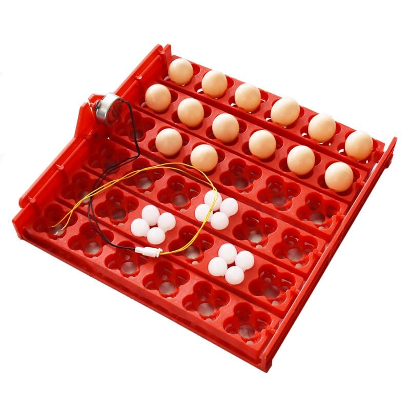 36 Eggs /144 Birds Eggs Incubator Tray - east2cart.uk