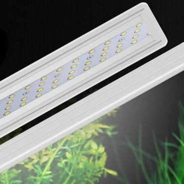 Clip-on LED Aqua Plants Grow Light