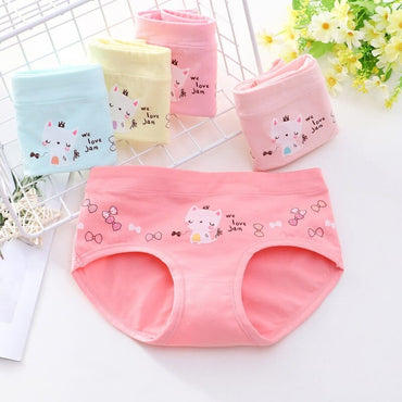 5Pcs Lot Kids Cartoon Underwear