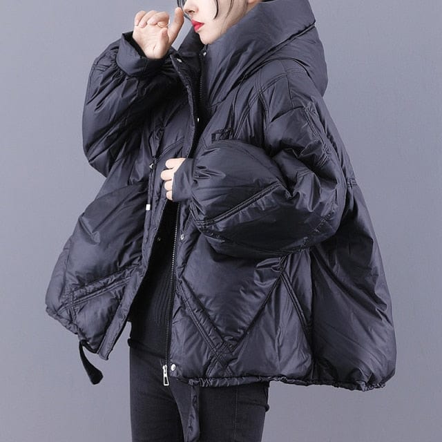 Hooded Solid Warm Down Jacket